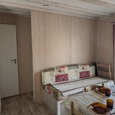 Chalet Mobil-home Moderne Dans La Nature D'auvergne - Fr-1-814-134 Egliseneuve-d'Entraigues